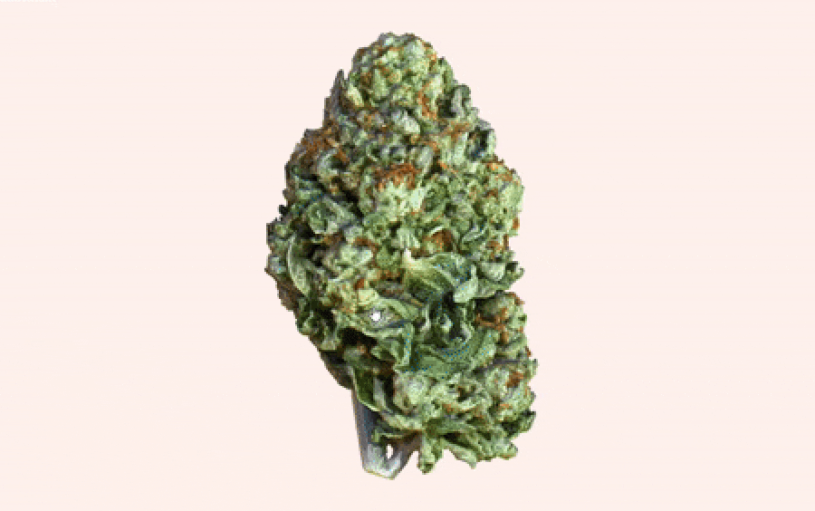 Photogrammetry Cannabis Buds